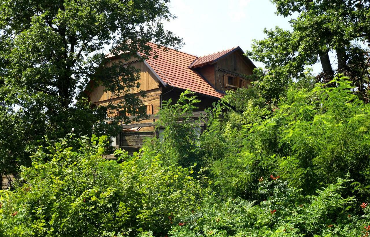 Kuca Suncani Brijeg Pokupsko Экстерьер фото